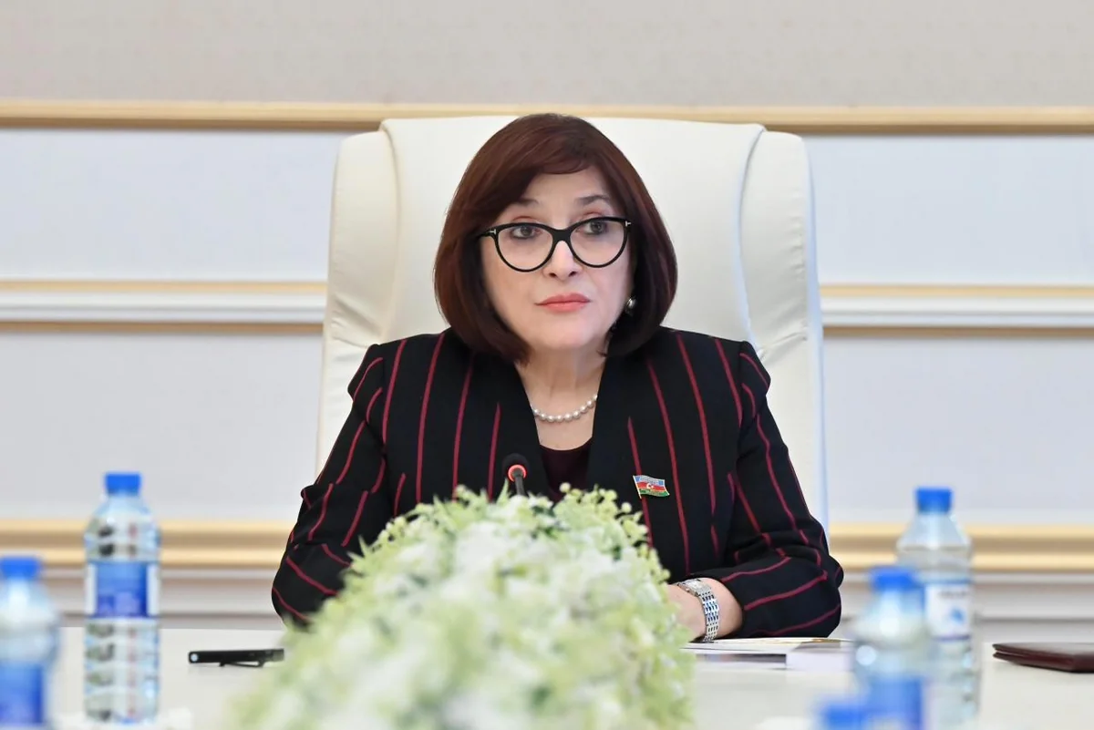 Sahibə Qafarova Azərbaycan MSK-nın işindən razıdır