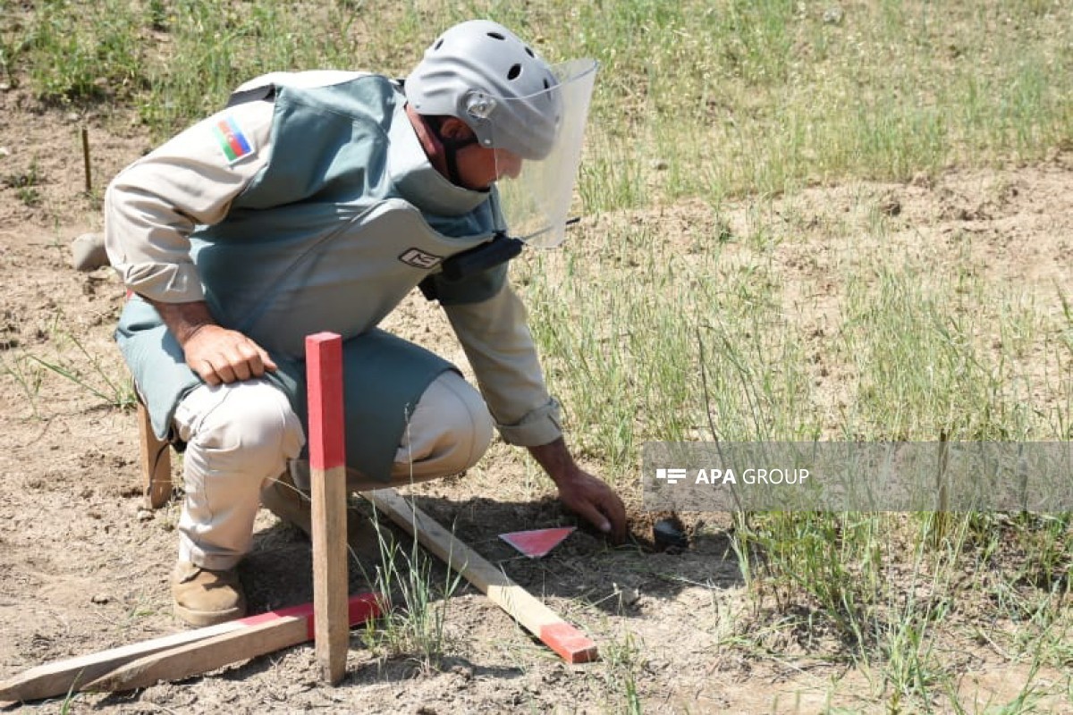 Сотрудниками ANAMA обнаружены еще 79 мин на освобожденных территориях-ФОТО