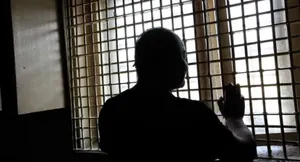 За 6 месяцев выйдут на свободу 28 тысяч амнистированных