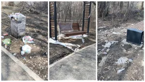«Қоқысқа батып жатыр»: Алматы әкімінен Бауман тоғайында тәртіп орнатуды талап етеді