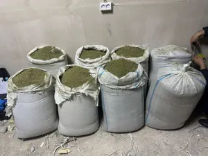 Оружие и 103 килограмма марихуаны изъяла полиция в области Улытау