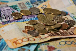 Депутаты просят опубликовать список вузов-должников по зарплате