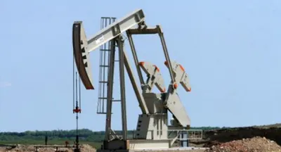 Алжир призвал ОПЕК сократить добычу нефти